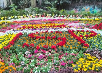 Grand inauguration of flower exhibition by Jindal Steel and Prkrati ki or Society