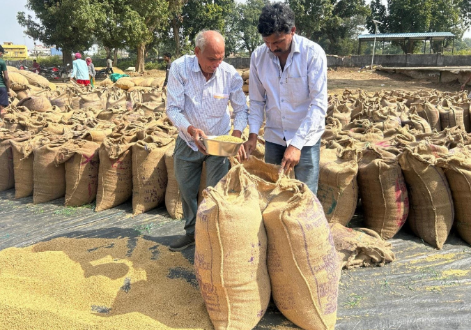 Transparent system brings prosperity to farmers