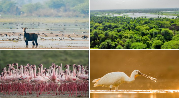 PM welcomes new Ramsar sites at Patna Bird Sanctuary and Chhari-Dhand