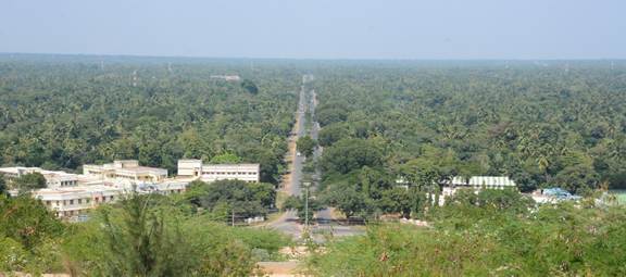 Transforming Mined Landscapes: NLC India Limited’s Journey in Sustainable Mine Restoration