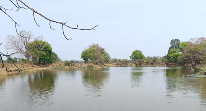 Canal water revives 4,755 drying ponds across Chhattisgarh amid severe summer