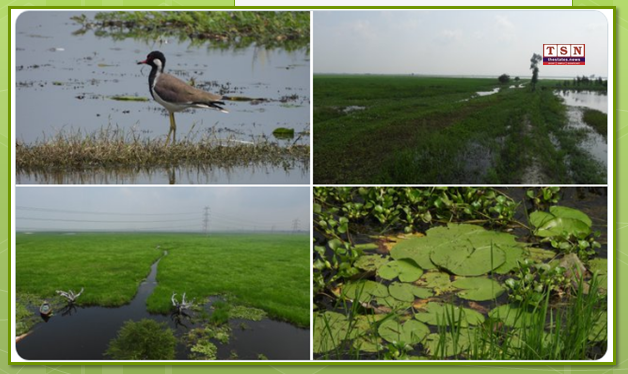 PM lauds designation of Jai Prakash Narayan Bird Sanctuary as India’s 100th Ramsar site