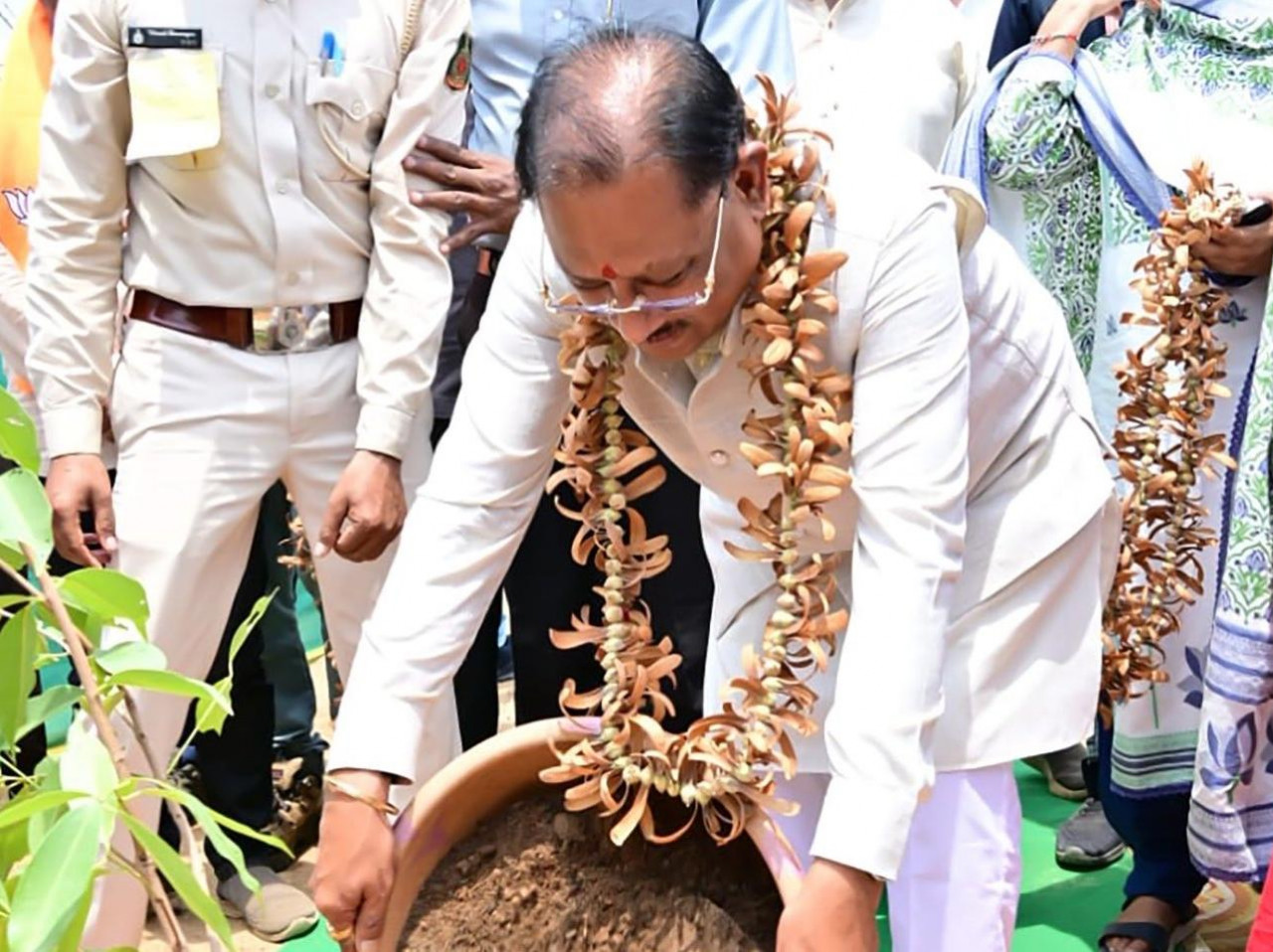 Tendu leaves bring prosperity, Tikhur processing fuels self-reliance in Badekanera